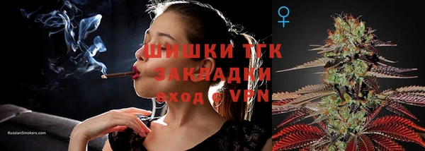 мдпв Инта