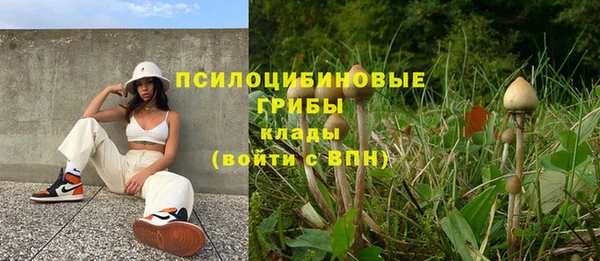 соль курить ск Иннополис