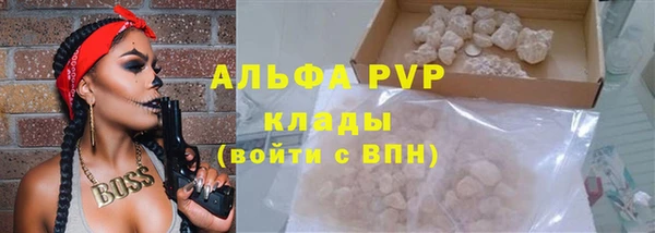 мдпв Инта