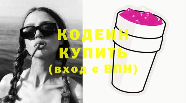 мдпв Инта