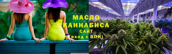 мдпв Инта