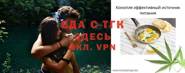 мдпв Инта