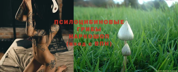 прущие крисы Грязи