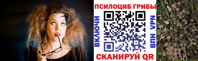 Галлюциногенные грибы Cubensis Касли